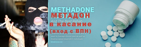 индика Алзамай