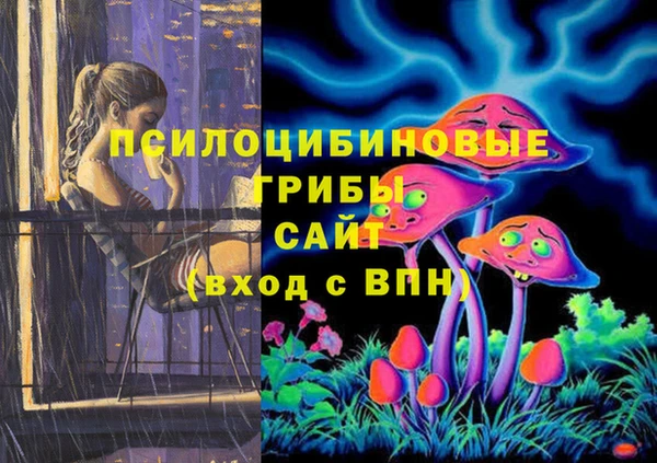 индика Алзамай